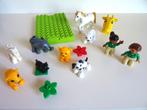 Duplo: basisplaat, 2 poppetjes, 9 dieren en 2 bloemetjes, Ophalen of Verzenden, Gebruikt, Complete set, Duplo