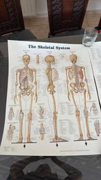 Affiches sur le corps humain, Enlèvement, Comme neuf