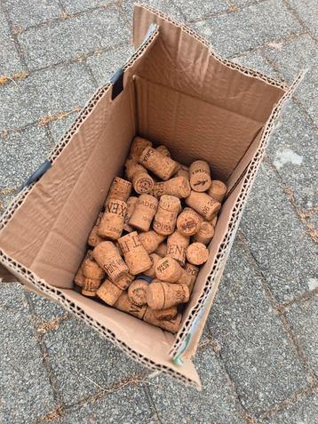 Kurken beschikbaar voor biedingen