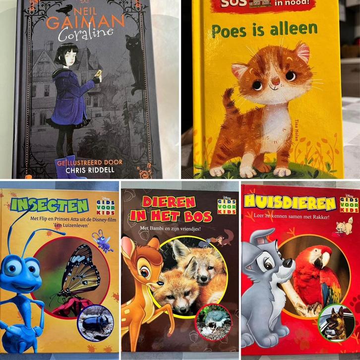 Jeugdboeken in goede staat, Boeken, Kinderboeken | Jeugd | onder 10 jaar, Ophalen of Verzenden
