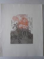 kleurets Bloemen te Venetië door Nello Paulietto 1980, Antiek en Kunst, Kunst | Etsen en Gravures, Ophalen of Verzenden