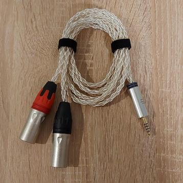 ifi Audio - 4.4mm to XLR Cable