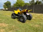 Dinli t-rex 100cc quad straatlegaal, 98 cc, 11 kW of minder, 1 cilinder