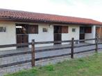 Paarden vol pension stal, Dieren en Toebehoren, Weidegang, 1 paard of pony