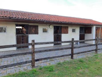 Paarden vol pension stal beschikbaar voor biedingen