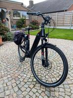 Mooie flyer ebike in topconditie., Fietsen en Brommers, Ophalen, Zo goed als nieuw
