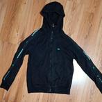 Pull Lacoste, Enlèvement ou Envoi, Hommes