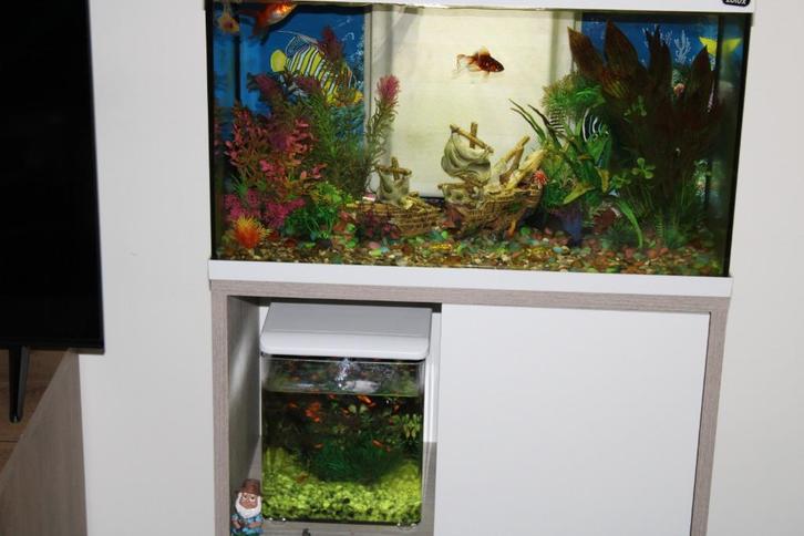 2 x aquarium en meubel, Dieren en Toebehoren, Vissen | Aquaria en Toebehoren, Zo goed als nieuw, Gevuld zoetwateraquarium, Ophalen