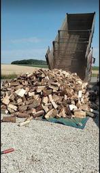 Bois chauffage 2ans payement à la livraison pour hiver 2025., 6 m³ of meer, Verzenden, Beukenhout, Blokken