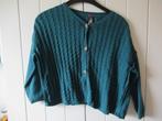 Orchestra, brede groene cardigan, maat 116, Kinderen en Baby's, Kinderkleding | Maat 116, Gebruikt, Meisje, Trui of Vest, Ophalen of Verzenden