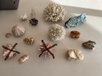 Schelpen en stenen verzameling, Ophalen, Overige typen