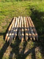 acaci (robinia) palen 2meter lang Diam 10-12cm, Tuin en Terras, Ophalen, Nieuw, 180 tot 250 cm, Palen