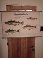 Carte de l'école de pêche en mer, Maison & Meubles, Enlèvement ou Envoi