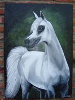 Schilderij Arabisch paard (doek 50x70 cm), Antiek en Kunst, Ophalen of Verzenden