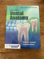 Woelfel’s Dental Anatomy, Ophalen of Verzenden, Nieuw, Hoger Onderwijs