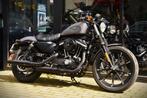 HARLEY DAVIDSON IRON 883 ***MOTOVERTE.BE***, Motoren, Bedrijf, 2 cilinders, 883 cc, Chopper