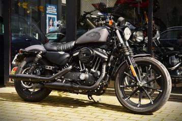 HARLEY DAVIDSON IRON 883 ***MOTOVERTE.BE***