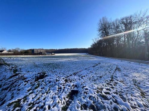 Terrain à vendre à Moustier, Immo, Gronden en Bouwgronden, 1000 tot 1500 m²