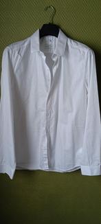 Chemise Jules, Tour de cou 39/40 (M), Jules, Enlèvement ou Envoi, Porté