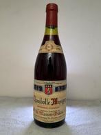 Wijn Chambolle-Musigny, Ophalen, Frankrijk, Zo goed als nieuw, Rode wijn