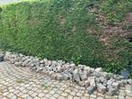 Kasseien gratis op te halen, Tuin en Terras, Grind, Keien en Split, Ophalen, Gebruikt