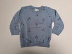 Mt 3j Pastelblauwe sweater met panda's, Kinderen en Baby's, Kinderkleding | Maat 98, Gebruikt, Trui of Vest, Filou & Friends, Ophalen of Verzenden