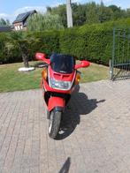 cbr 1000f, Motoren, Sportuitlaat, 4 cilinders, Super Sport, Particulier