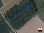 TE KOOP: Landbouwgrond te Borgloon, Immo, Gronden en Bouwgronden, 1500 m² of meer, Borgloon