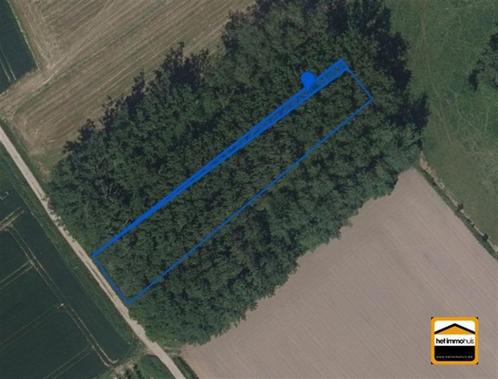 TE KOOP: Landbouwgrond te Borgloon, Immo, Terrains & Terrains à bâtir, 1500 m² ou plus