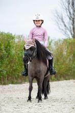 Super lieve gereden Shetlander merrie, Dieren en Toebehoren, Merrie, Gechipt, Zadelmak, A pony (tot 1.17m)