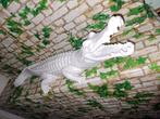 Crocodil 1m10, Ophalen, Zo goed als nieuw