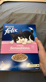 Felix voor kittens, Enlèvement