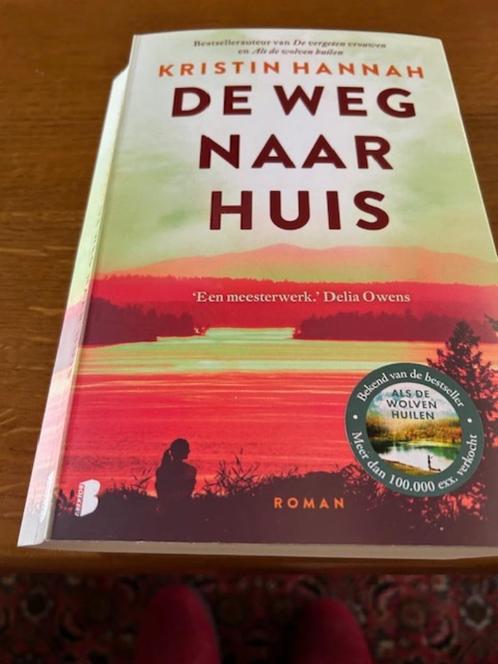 De weg naar huis, Boeken, Romans, Zo goed als nieuw, België, Ophalen of Verzenden