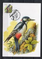 Année 2003 : Carte maximum 3162 - Oiseaux - Pic épeiche - Bu, Timbres & Monnaies, Timbres | Europe | Belgique, Enlèvement ou Envoi