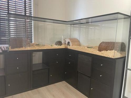 Maatwerk Glazen Caviakooi – Luxe Verblijf voor Cavia’s, Dieren en Toebehoren, Knaagdieren en Konijnen | Hokken en Kooien, Nieuw