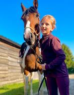 Lieve all-rounder, Merrie