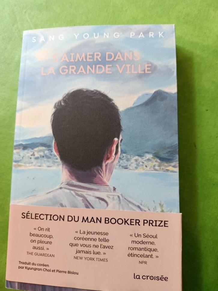 S'aimer dans la grande ville, Sang Young Park  9782413086130, Boeken, Overige Boeken, Zo goed als nieuw, Ophalen of Verzenden