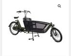 E Bike dollycargo, Fietsen en Brommers, Elektrische fietsen, Ophalen, Gebruikt, 50 km per accu of meer, Overige merken