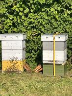 Simplex dubbele bijenkasten te koop met overige materialen, Animaux & Accessoires, Insectes & Araignées, Abeilles