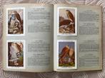 Prentenboek - De Vogels van België (Fort producten, 1958), Ophalen of Verzenden, Prentenboek