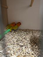 Koppel fischeries, Dieren en Toebehoren, Geringd