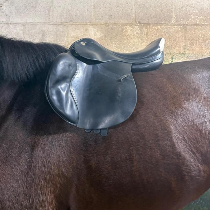 Prestige Rialto springzadel - goede staat!, Dieren en Toebehoren, Paarden en Pony's | Zadels, Gebruikt, Springen, Ophalen of Verzenden