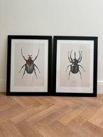 Hagedornhagen design posters – set van 2!, Ophalen, Zo goed als nieuw