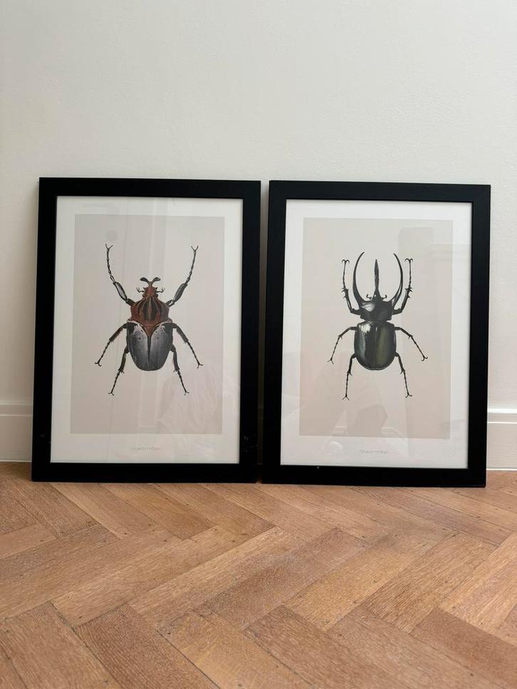 Hagedornhagen design posters – set van 2!, Huis en Inrichting, Woonaccessoires | Lijsten, Zo goed als nieuw, Ophalen