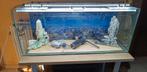 URGENT ,AV, Aquarium complet 250 € AU LIEU DE 500 €, Enlèvement, Utilisé