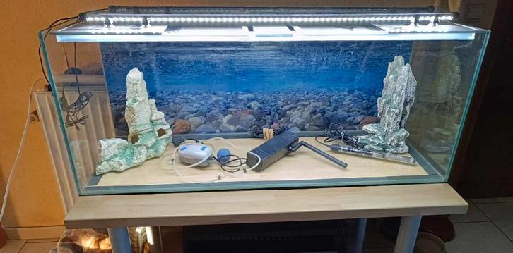 URGENT ,AV, Aquarium complet 250 € AU LIEU DE 500 €, Dieren en Toebehoren, Vissen | Aquaria en Toebehoren, Gebruikt, Ophalen
