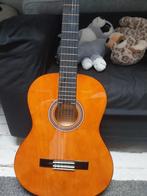 Guitares, Muziek en Instrumenten, Snaarinstrumenten | Gitaren | Elektrisch, Overige merken, Met versterker, Ophalen of Verzenden