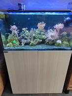 Zeewateraquarium met toebehoren tegen elk aannemelijk bod, Dieren en Toebehoren, Ophalen, Gebruikt