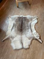 Rendiervel, Enlèvement, Utilisé