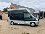 2008 Renault Master Paardencamionette, Auto's, Gebruikt, Renault, Overige brandstoffen, Bedrijf